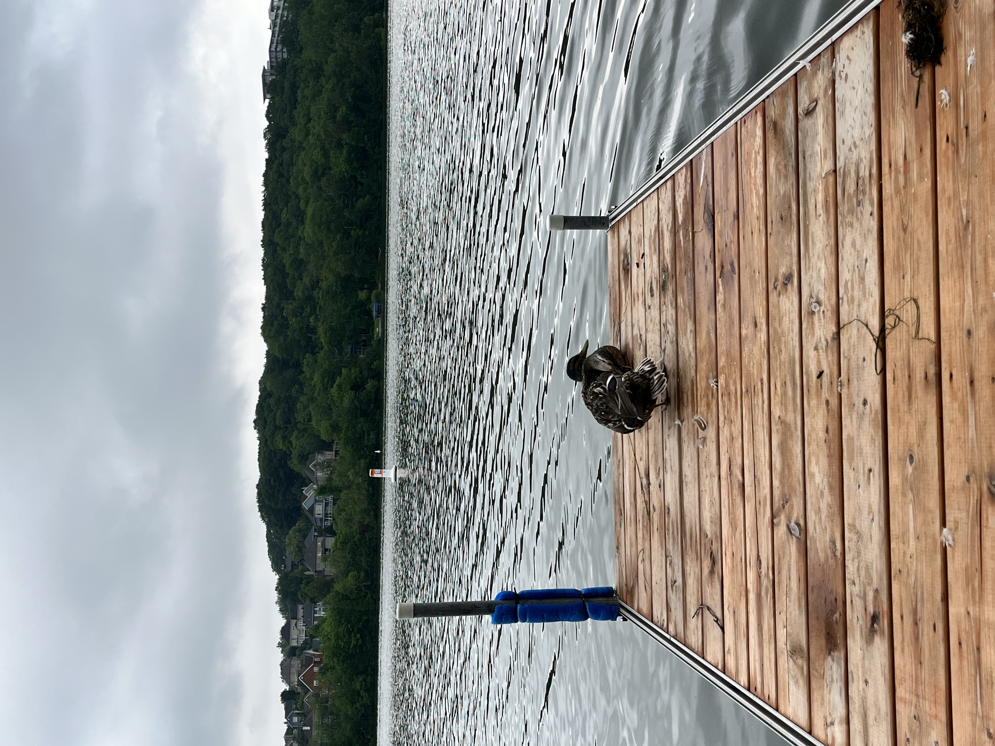 Technologie en action